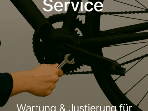 ⚡ E‑Bike Basic Service