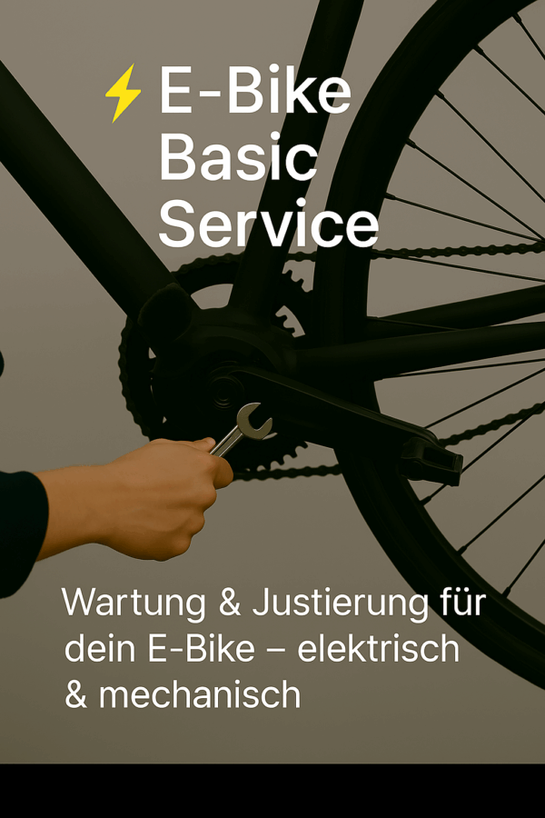 ⚡ E‑Bike Basic Service