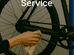 ⚡ E‑Bike Standard Service