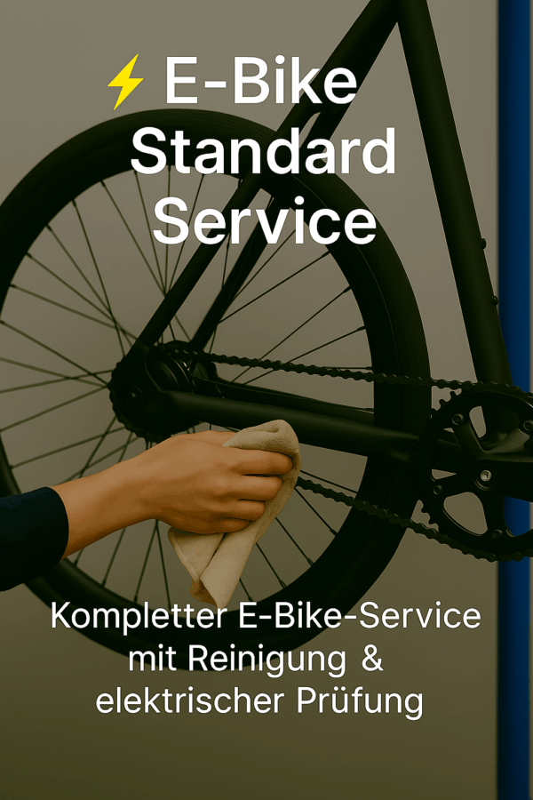 ⚡ E‑Bike Standard Service