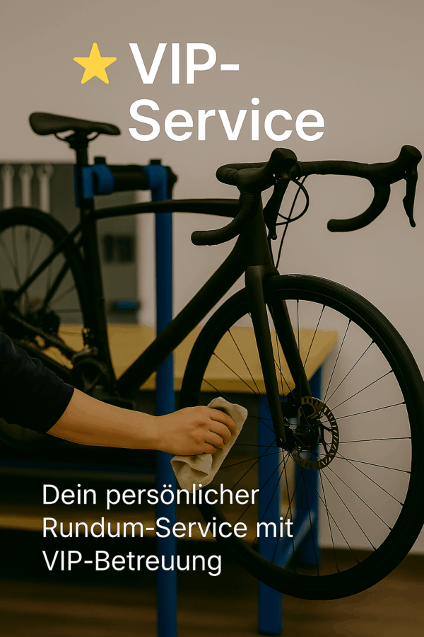 ⭐ E‑Bike VIP Service